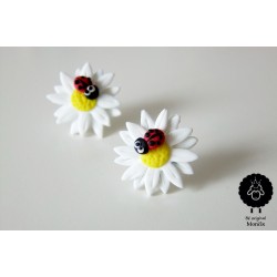 Kopretiny s beruškou - chirurg.ocel