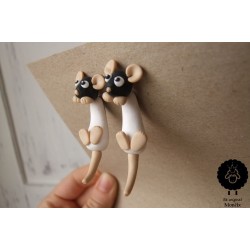 Falešný roztahovák - potkani 